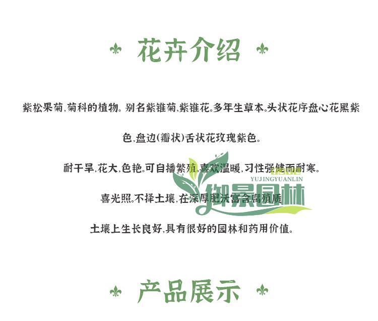 详情6.jpg