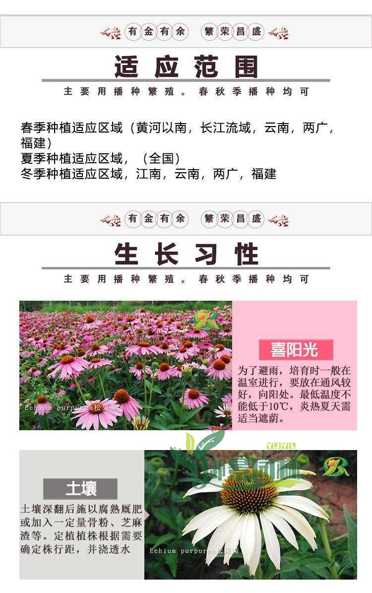 详情2.jpg