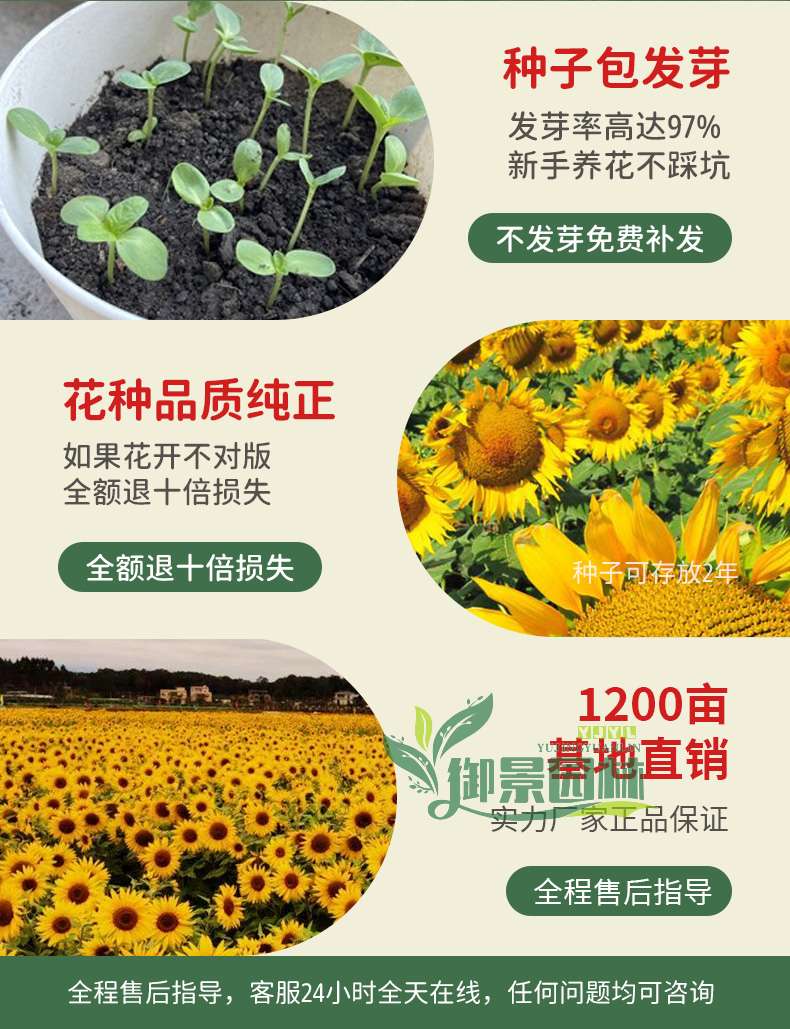 详情17.jpg