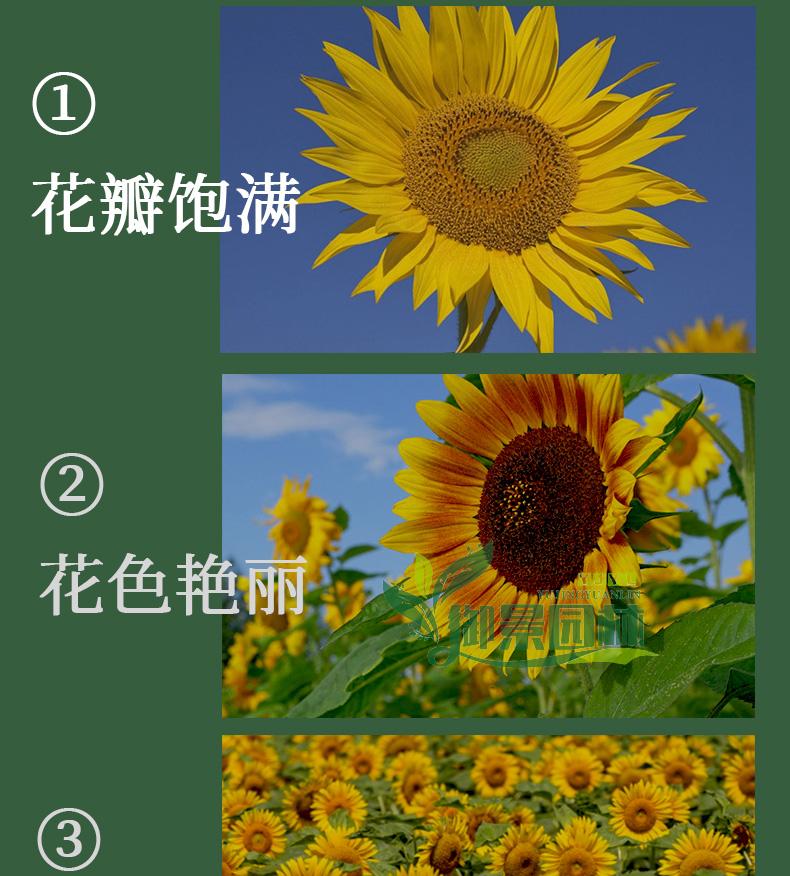 详情18.jpg