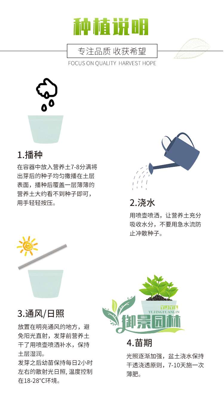 详情15.jpg