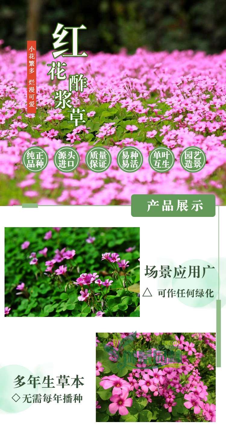 详情3.jpg