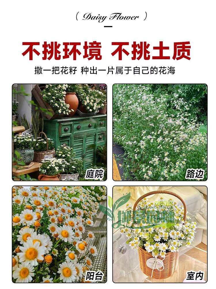 详情5.jpg