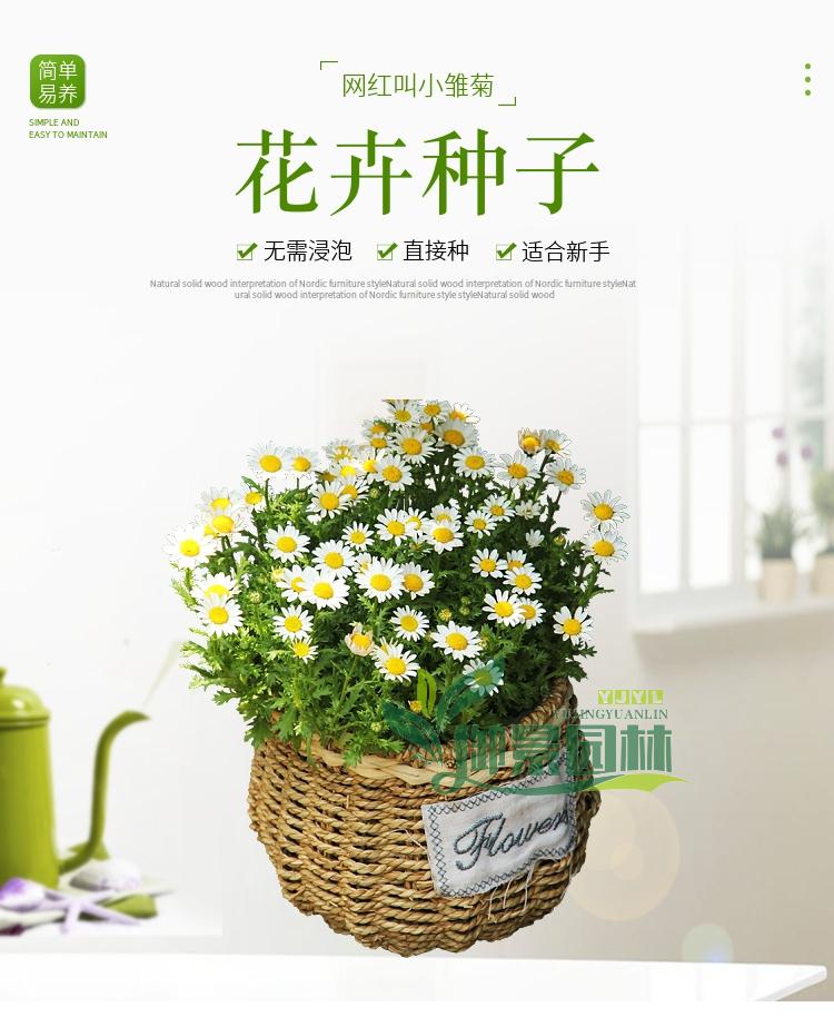 详情1.1.jpg