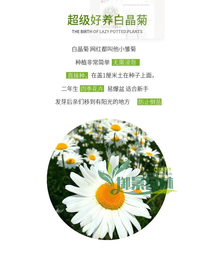详情1.2.jpg
