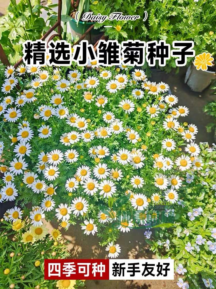 详情1.jpg