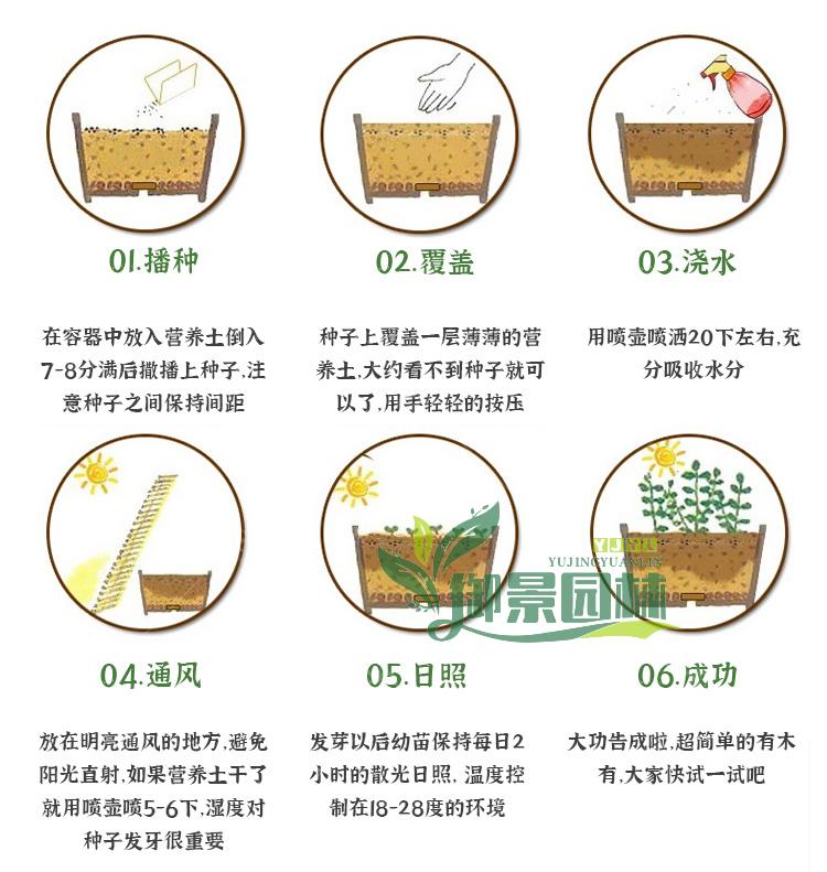 详情10.jpg