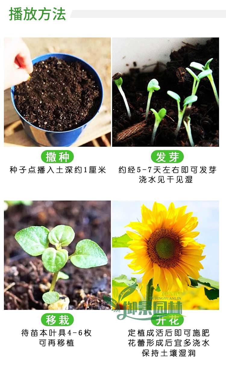 详情21.jpg