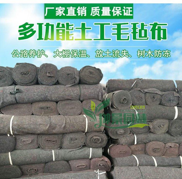 详情1.jpg