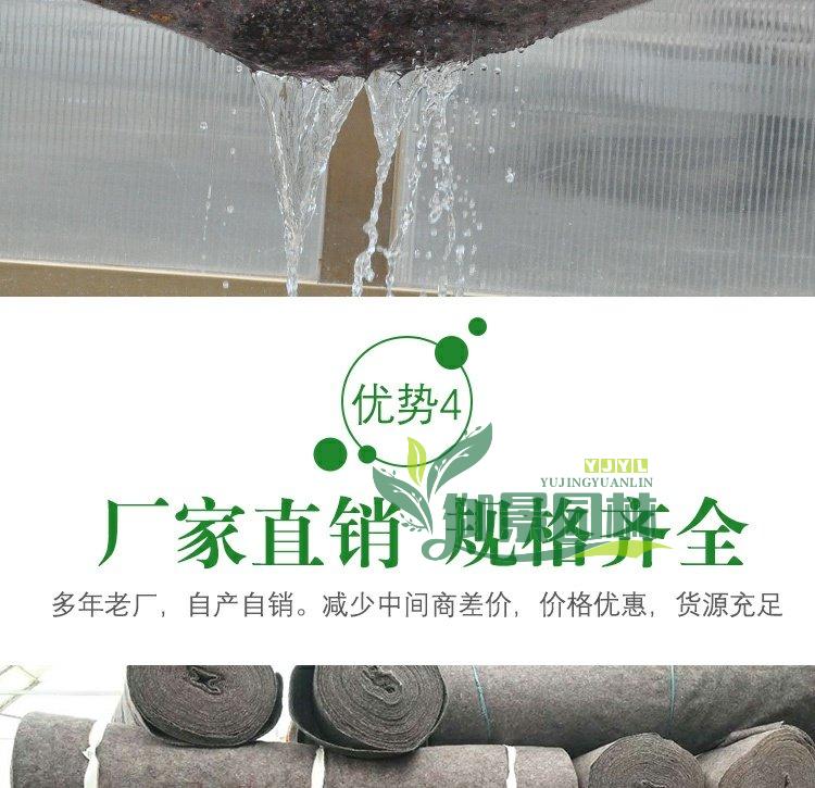 详情7.jpg