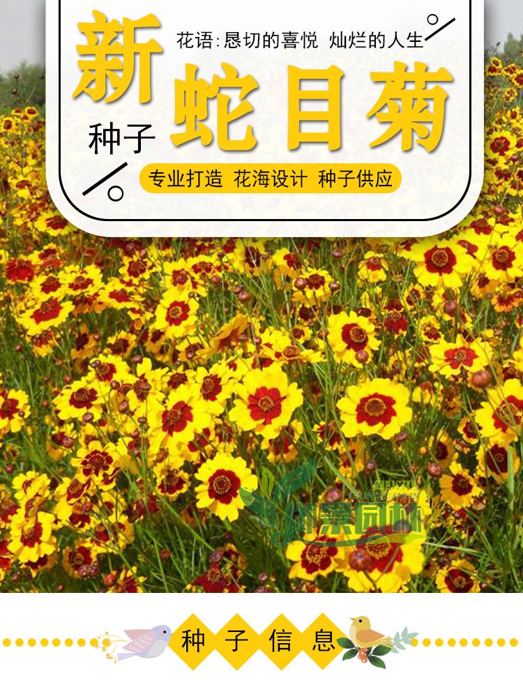 详情1.jpg