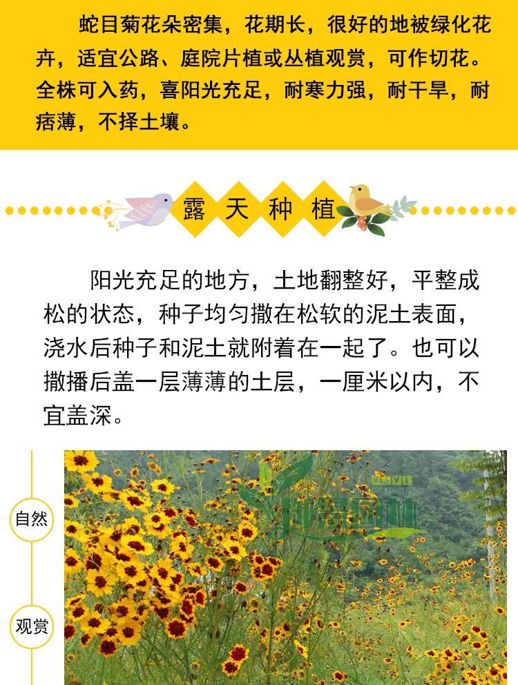 详情4.jpg
