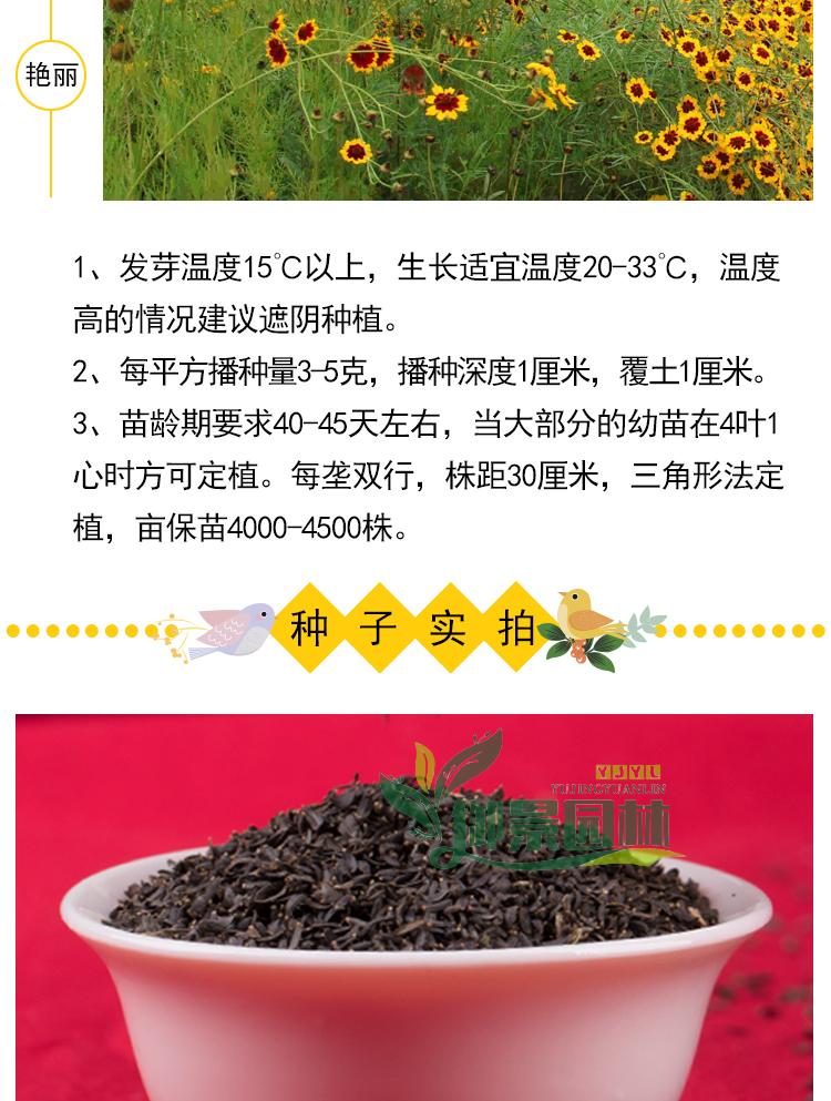 详情5.jpg