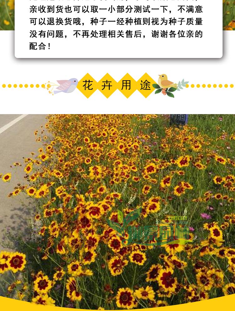 详情3.jpg