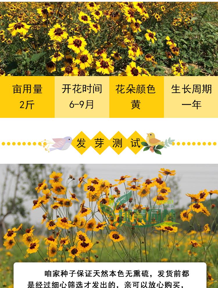 详情2.jpg