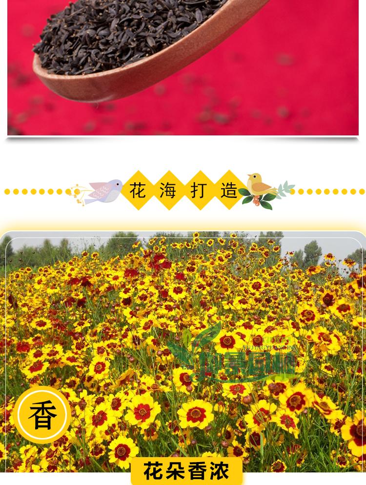详情7.jpg