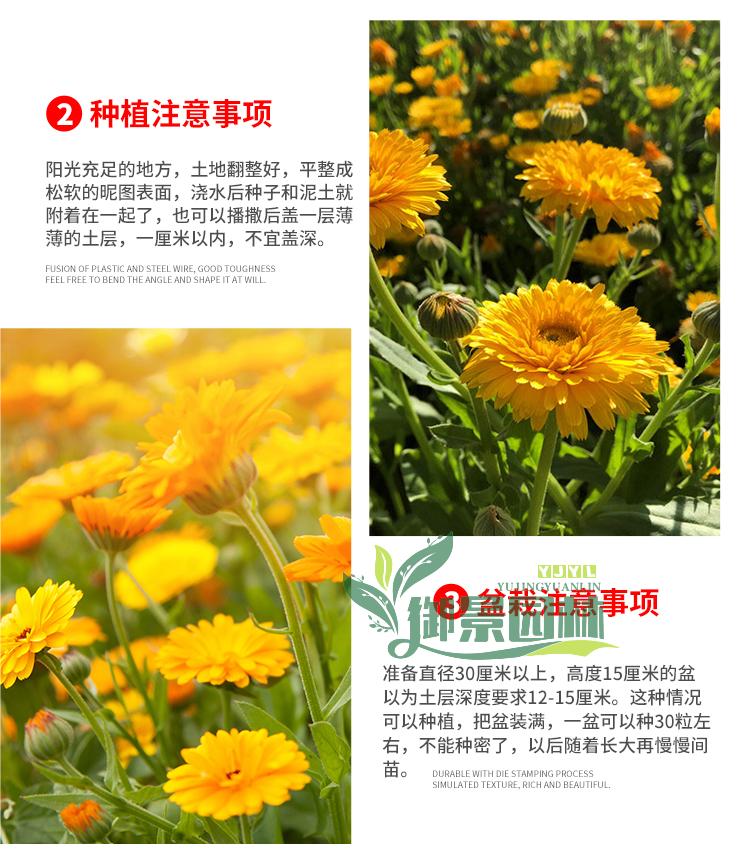 详情3.jpg