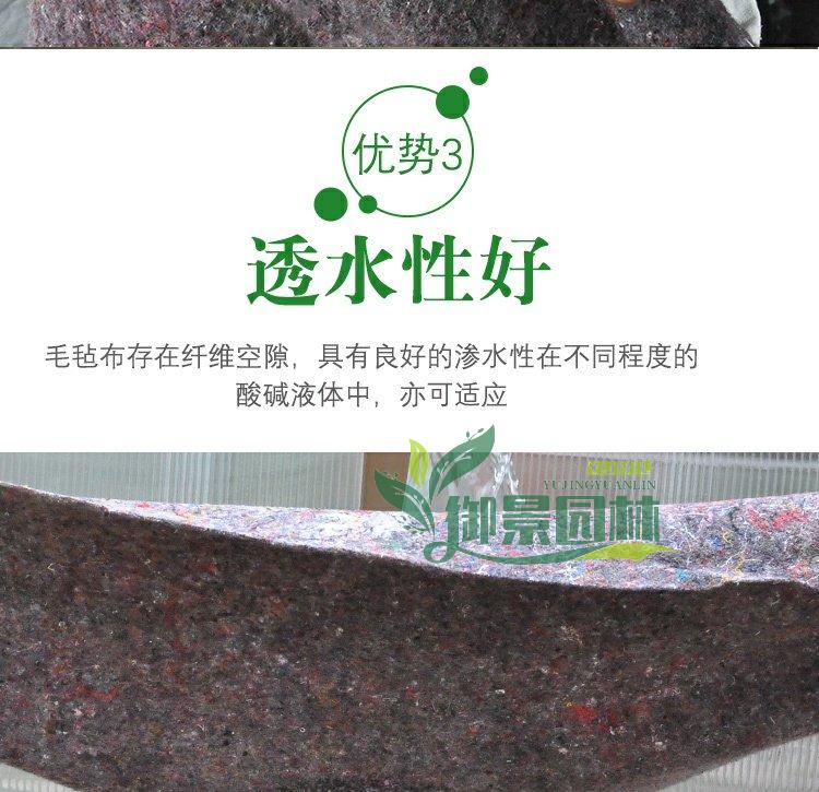 详情6.jpg