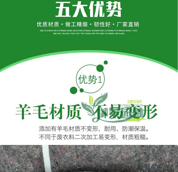 详情5.jpg