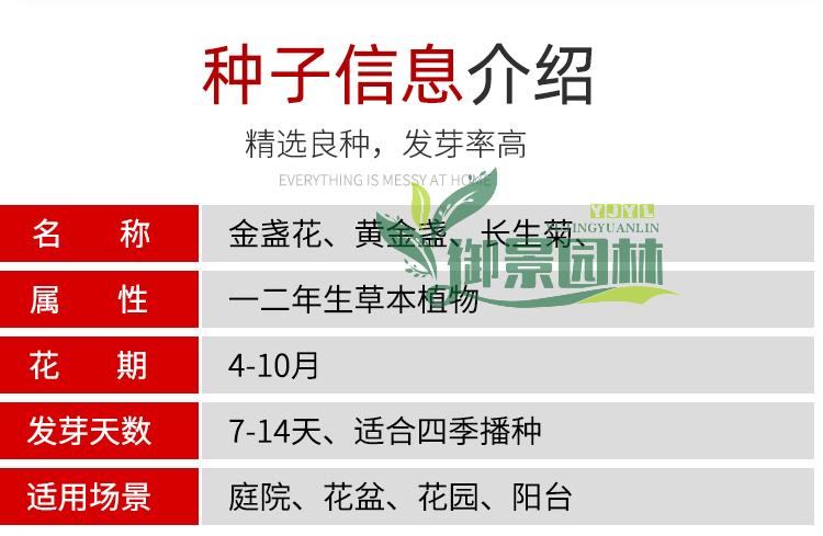 详情1.jpg